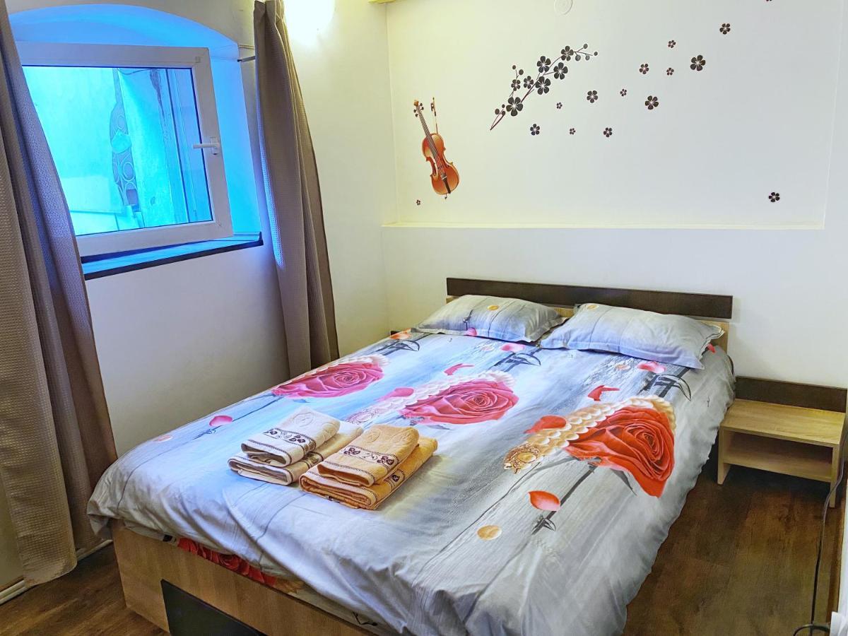 Sauna Apartament Braşov Extérieur photo